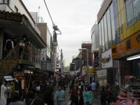 IMG_3516.JPG